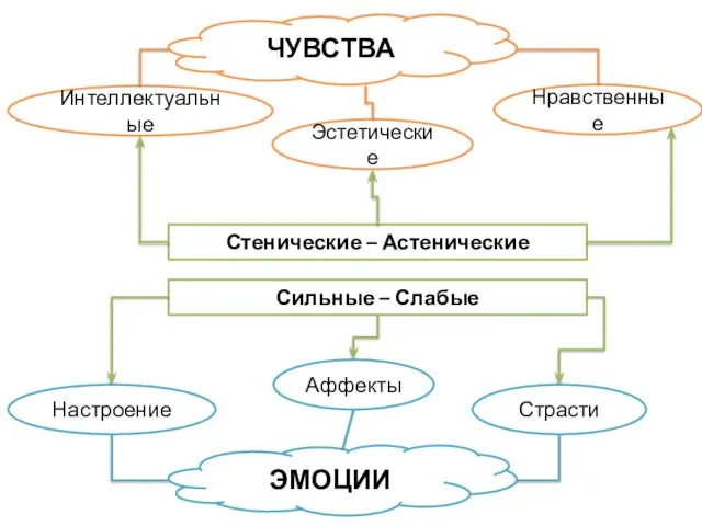 ЭМОЦИИ ЧУВСТВА Интеллектуальные Нравственные Эстетические Настроение Страсти Аффекты Стенические – Астенические Сильные – Слабые