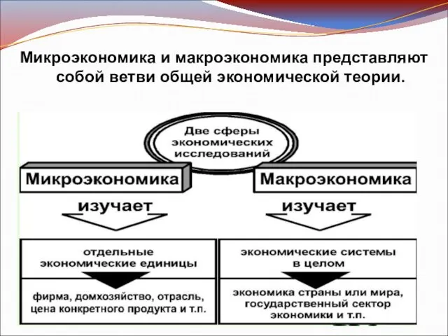 Микроэкономика и макроэкономика представляют собой ветви общей экономической теории.