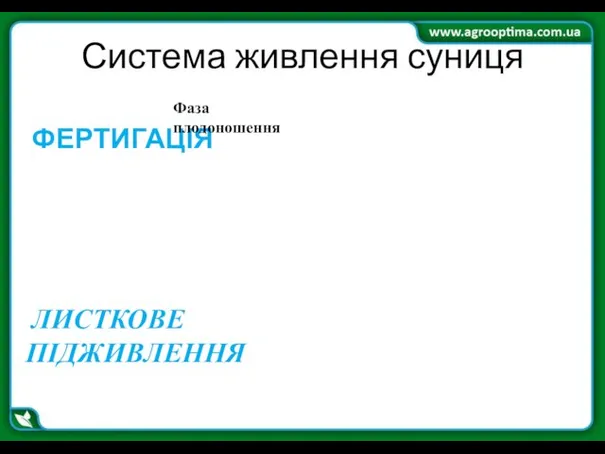 Система живлення суниця ФЕРТИГАЦІЯ Фаза плодоношення ЛИСТКОВЕ ПІДЖИВЛЕННЯ