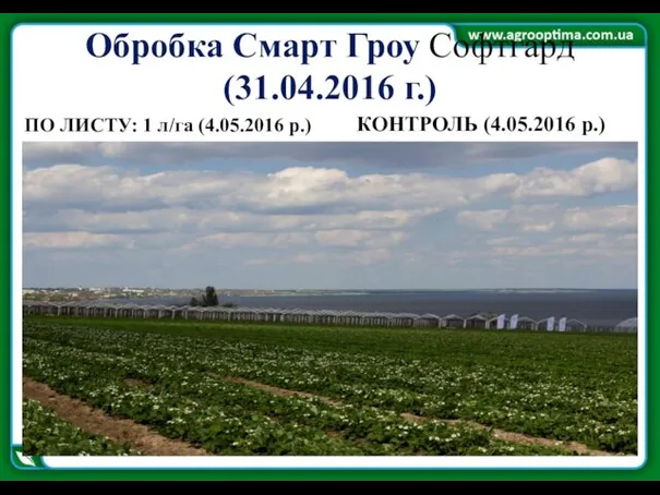 Обробка Смарт Гроу Софтгард (31.04.2016 г.) КОНТРОЛЬ (4.05.2016 р.) ПО ЛИСТУ: 1 л/га (4.05.2016 р.)