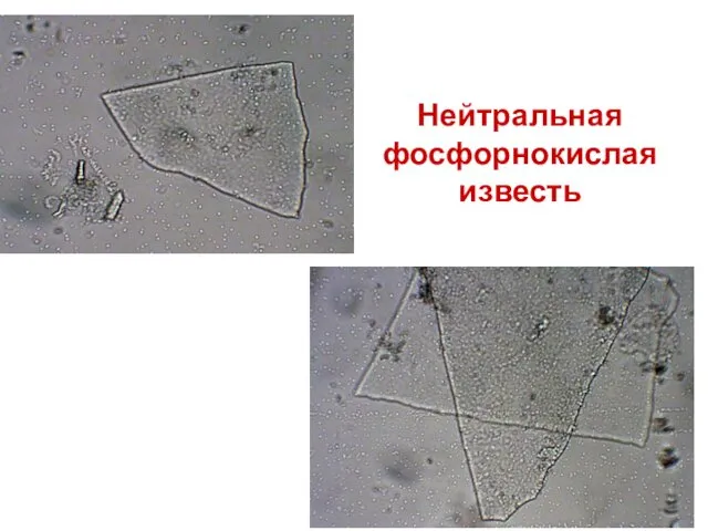 Нейтральная фосфорнокислая известь