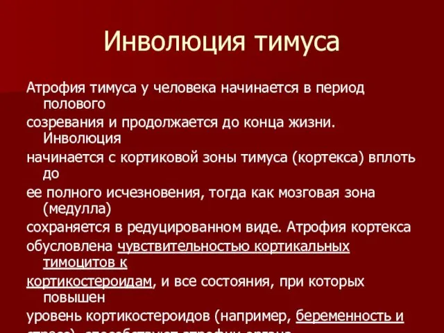 Инволюция тимуса Атрофия тимуса у человека начинается в период полового созревания