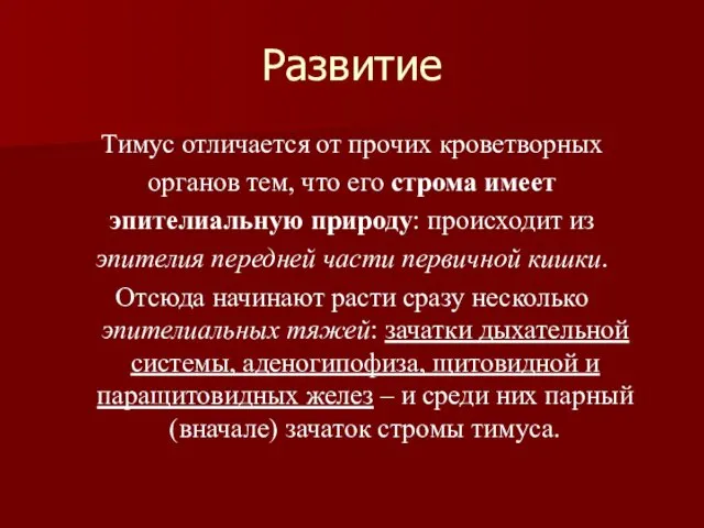 Развитие Тимус отличается от прочих кроветворных органов тем, что его строма