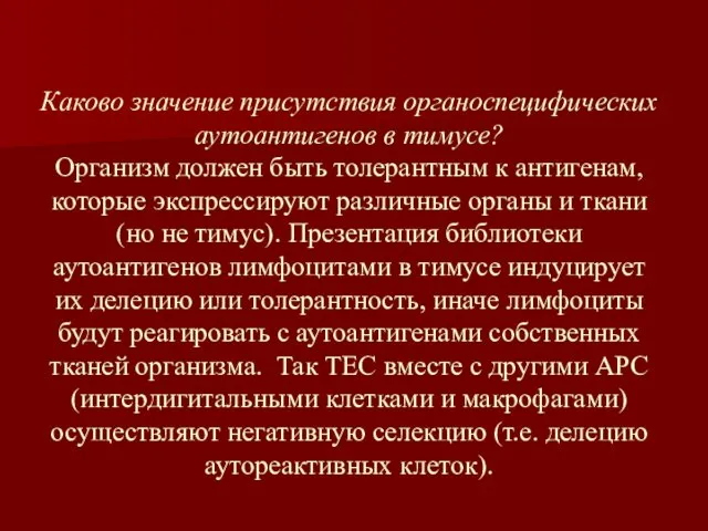 Каково значение присутствия органоспецифических аутоантигенов в тимусе? Организм должен быть толерантным