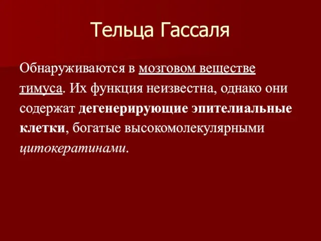 Тельца Гассаля Обнаруживаются в мозговом веществе тимуса. Их функция неизвестна, однако