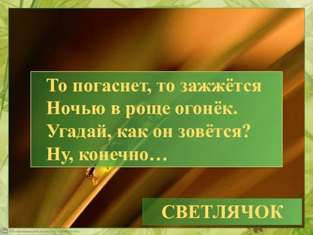 СВЕТЛЯЧОК То погаснет, то зажжётся Ночью в роще огонёк. Угадай, как он зовётся? Ну, конечно…