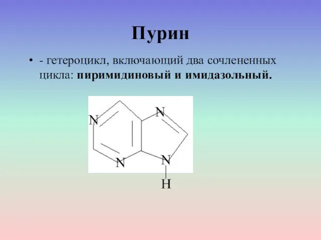 Пурин - гетероцикл, включающий два сочлененных цикла: пиримидиновый и имидазольный. N H N N N