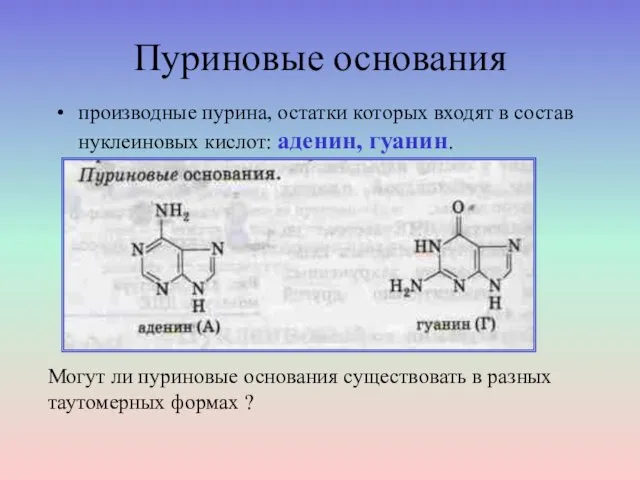 Пуриновые основания производные пурина, остатки которых входят в состав нуклеиновых кислот: