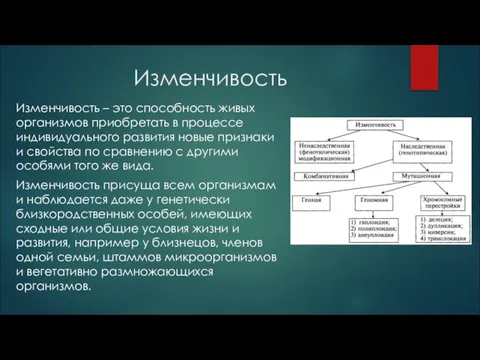 Изменчивость Изменчивость – это способность живых организмов приобретать в процессе индивидуального