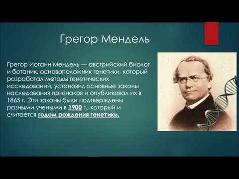 Грегор Мендель Грегор Иоганн Мендель — австрийский биолог и ботаник, основоположник