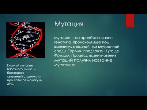 Мутация Мутация – это преобразование генотипа, происходящее под влиянием внешней или