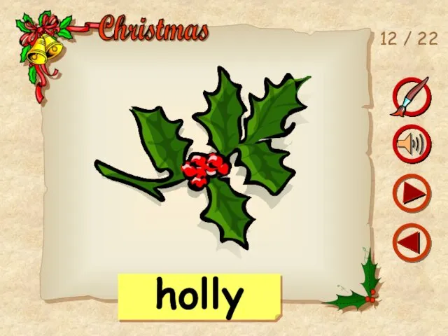 12 / 22 holly