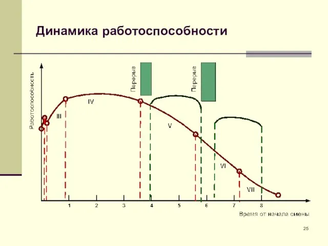 Динамика работоспособности