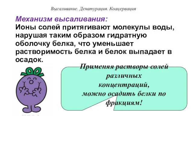 Механизм высаливания: Ионы солей притягивают молекулы воды, нарушая таким образом гидратную