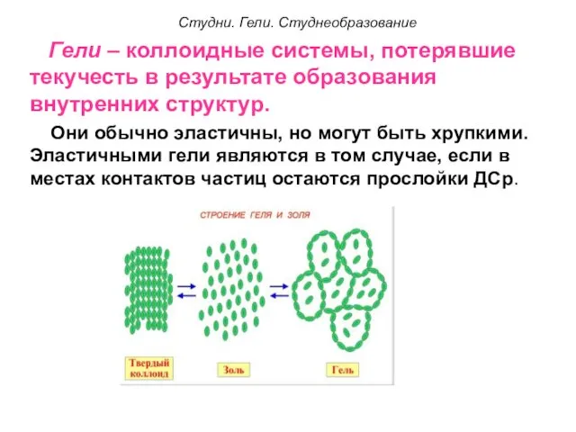 Студни. Гели. Студнеобразование Гели – коллоидные системы, потерявшие текучесть в результате