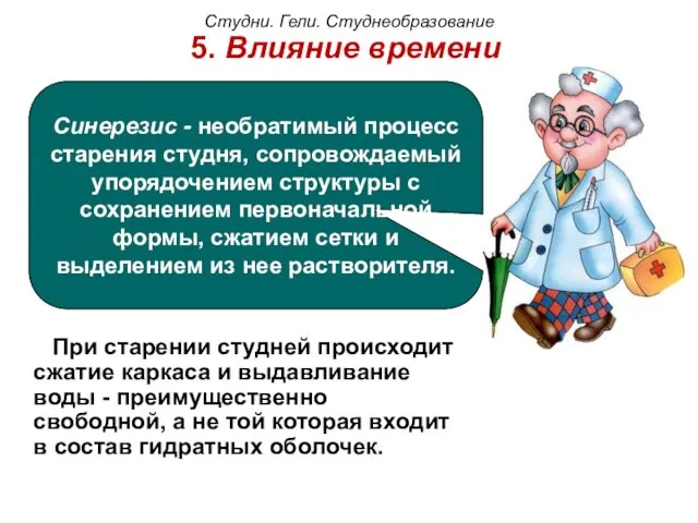 5. Влияние времени Синерезис - необратимый процесс старения студня, сопровождаемый упорядочением