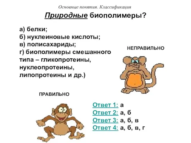 Природные биополимеры? а) белки; б) нуклеиновые кислоты; в) полисахариды; г) биополимеры