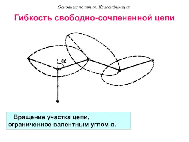 Гибкость свободно-сочлененной цепи Вращение участка цепи, ограниченное валентным углом α. Основные понятия. Классификация