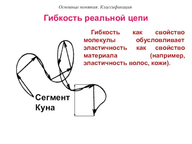 Гибкость реальной цепи Гибкость как свойство молекулы обусловливает эластичность как свойство