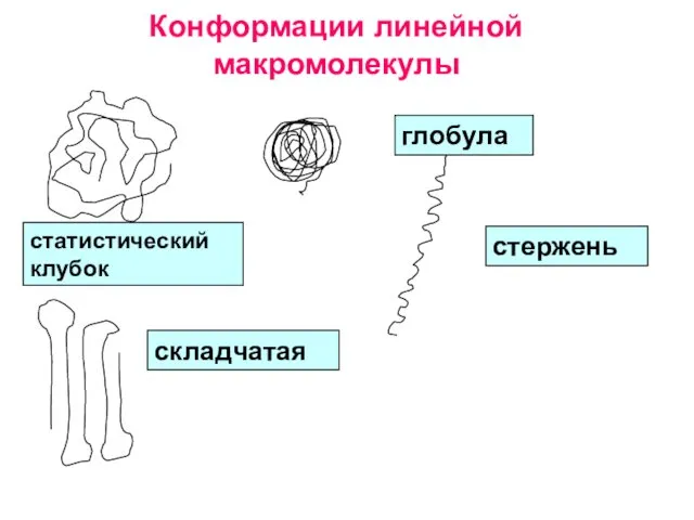 Конформации линейной макромолекулы глобула статистический клубок стержень складчатая