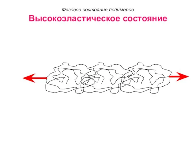 Высокоэластическое состояние Фазовое состояние полимеров