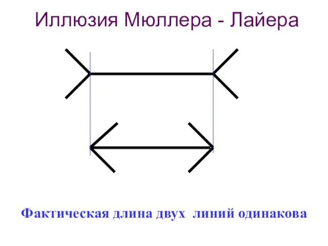 Фактическая длина двух линий одинакова Иллюзия Мюллера - Лайера