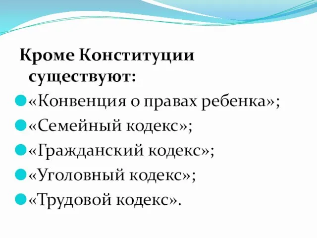 Кроме Конституции существуют: «Конвенция о правах ребенка»; «Семейный кодекс»; «Гражданский кодекс»; «Уголовный кодекс»; «Трудовой кодекс».