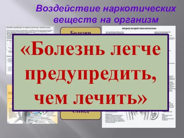 Воздействие наркотических веществ на организм «Болезнь легче предупредить, чем лечить»