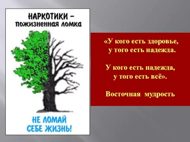 «У кого есть здоровье, у того есть надежда. У кого есть