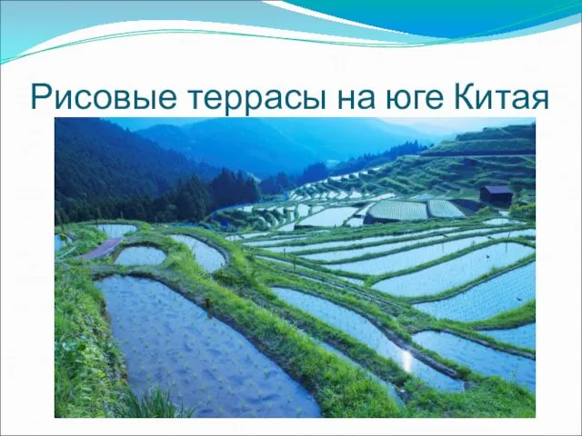 Рисовые террасы на юге Китая