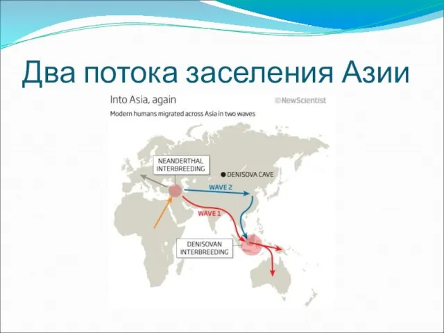 Два потока заселения Азии