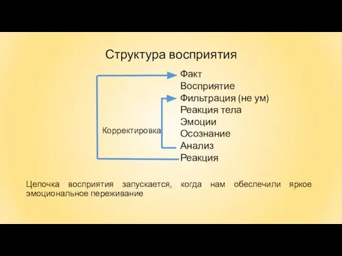 Структура восприятия Факт Восприятие Фильтрация (не ум) Реакция тела Эмоции Осознание