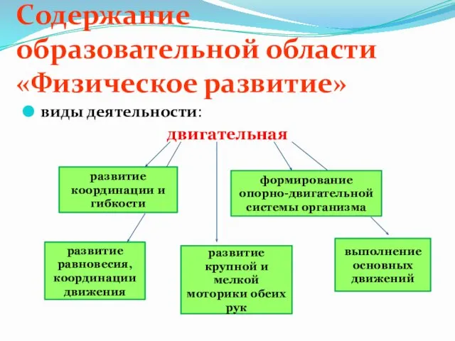 Содержание образовательной области «Физическое развитие» виды деятельности: двигательная развитие координации и