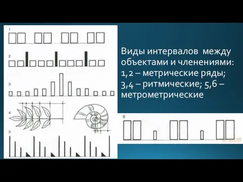 Виды интервалов между объектами и членениями: 1,2 – метрические ряды; 3,4 – ритмические; 5,6 – метрометрические