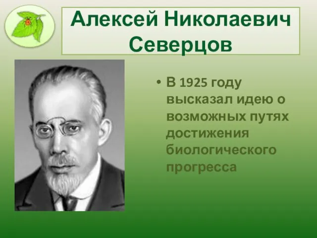 Алексей Николаевич Северцов В 1925 году высказал идею о возможных путях достижения биологического прогресса