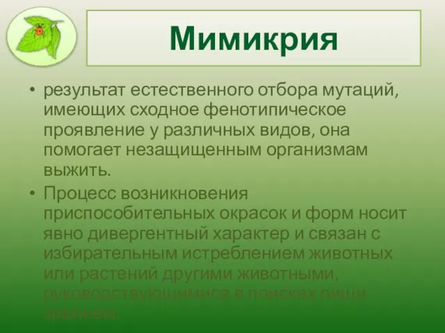 Мимикрия результат естественного отбора мутаций, имеющих сходное фенотипическое проявление у различных