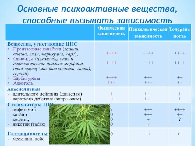 Основные психоактивные вещества, способные вызывать зависимость