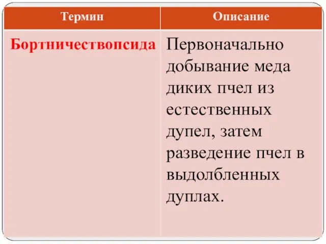 Первоначально добывание меда диких пчел из естественных дупел, затем разведение пчел в выдолбленных дуплах. Бортничествопсида