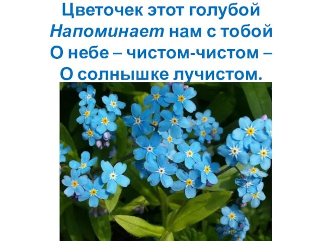 Цветочек этот голубой Напоминает нам с тобой О небе – чистом-чистом – О солнышке лучистом.