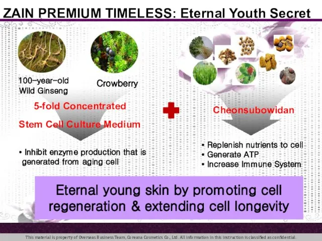 100-year-old Wild Ginseng ZAIN PREMIUM TIMELESS: Eternal Youth Secret Crowberry Inhibit