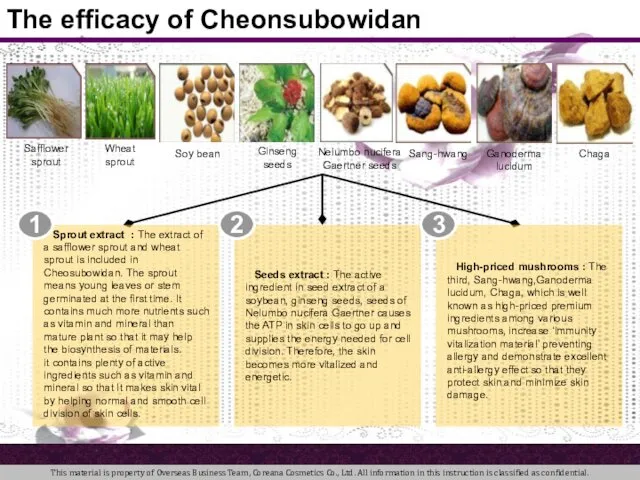 Safflower sprout The efficacy of Cheonsubowidan 1 Sprout extract : The