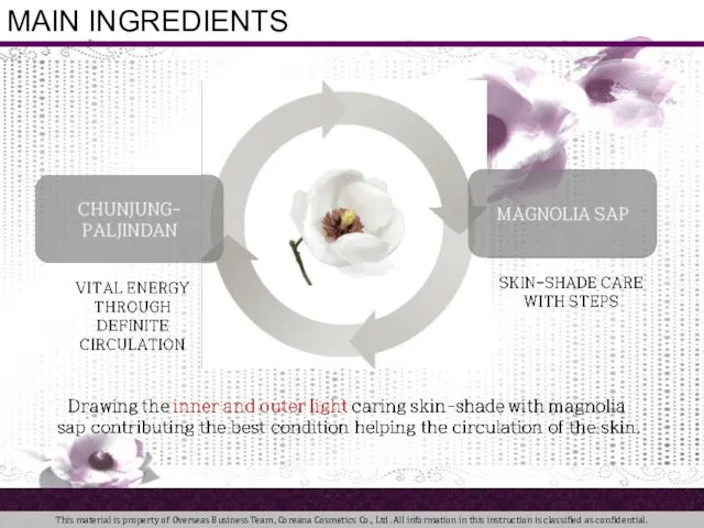 MAIN INGREDIENTS