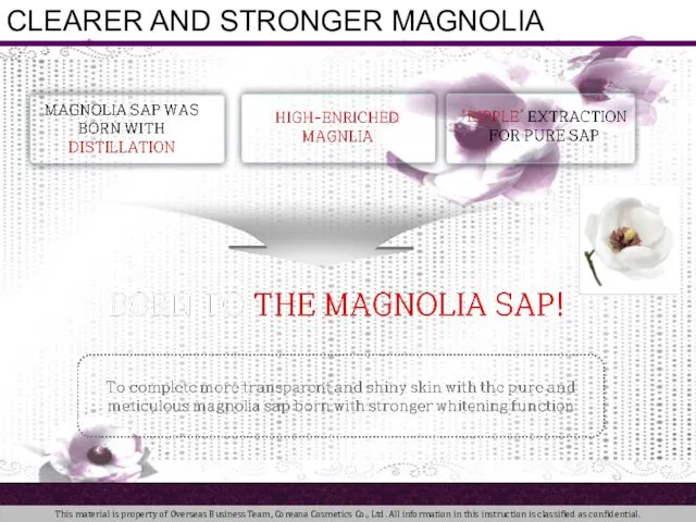 CLEARER AND STRONGER MAGNOLIA