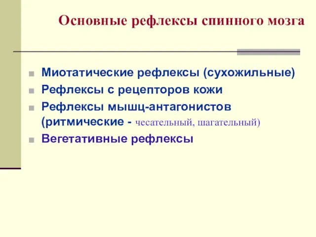 Основные рефлексы спинного мозга Миотатические рефлексы (сухожильные) Рефлексы с рецепторов кожи