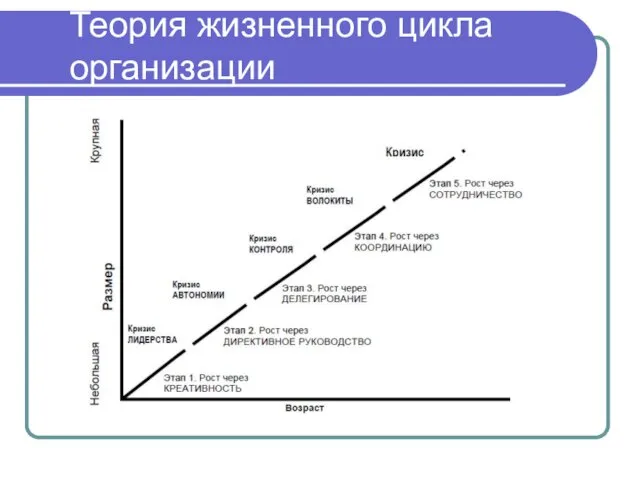 Теория жизненного цикла организации