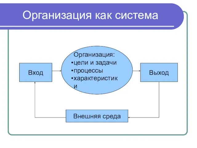 Организация как система Организация: цели и задачи процессы характеристики Вход Выход Внешняя среда