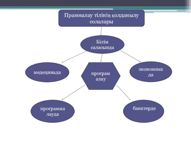 Праммалау тілінің қолданылу солалары Білім саласында медецинада экономикада программалауда програмалау банктерде