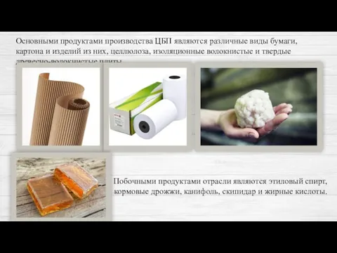 Основными продуктами производства ЦБП являются различные виды бумаги, картона и изделий