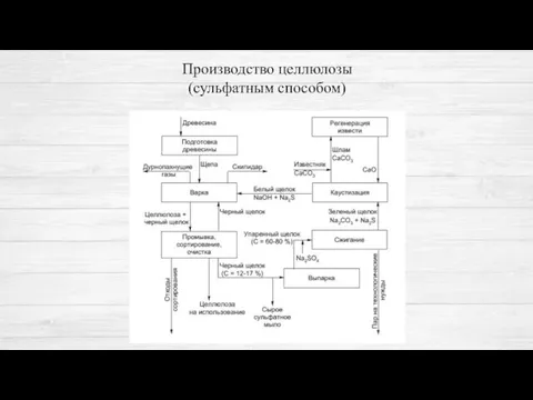 Производство целлюлозы (сульфатным способом)