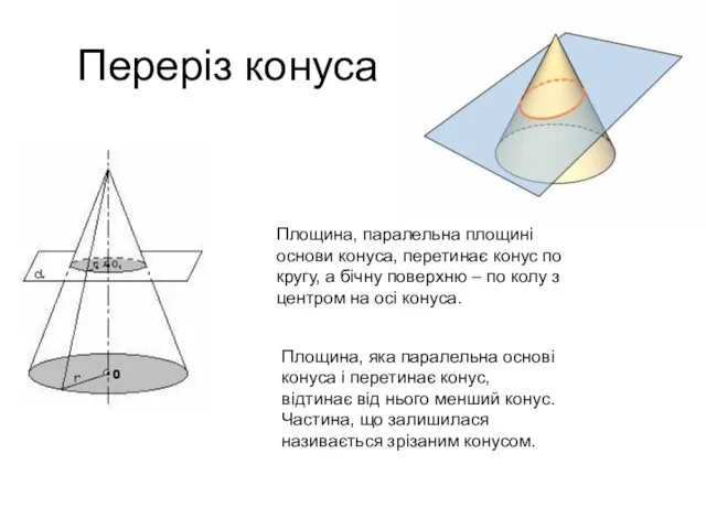 Переріз конуса Площина, паралельна площині основи конуса, перетинає конус по кругу,